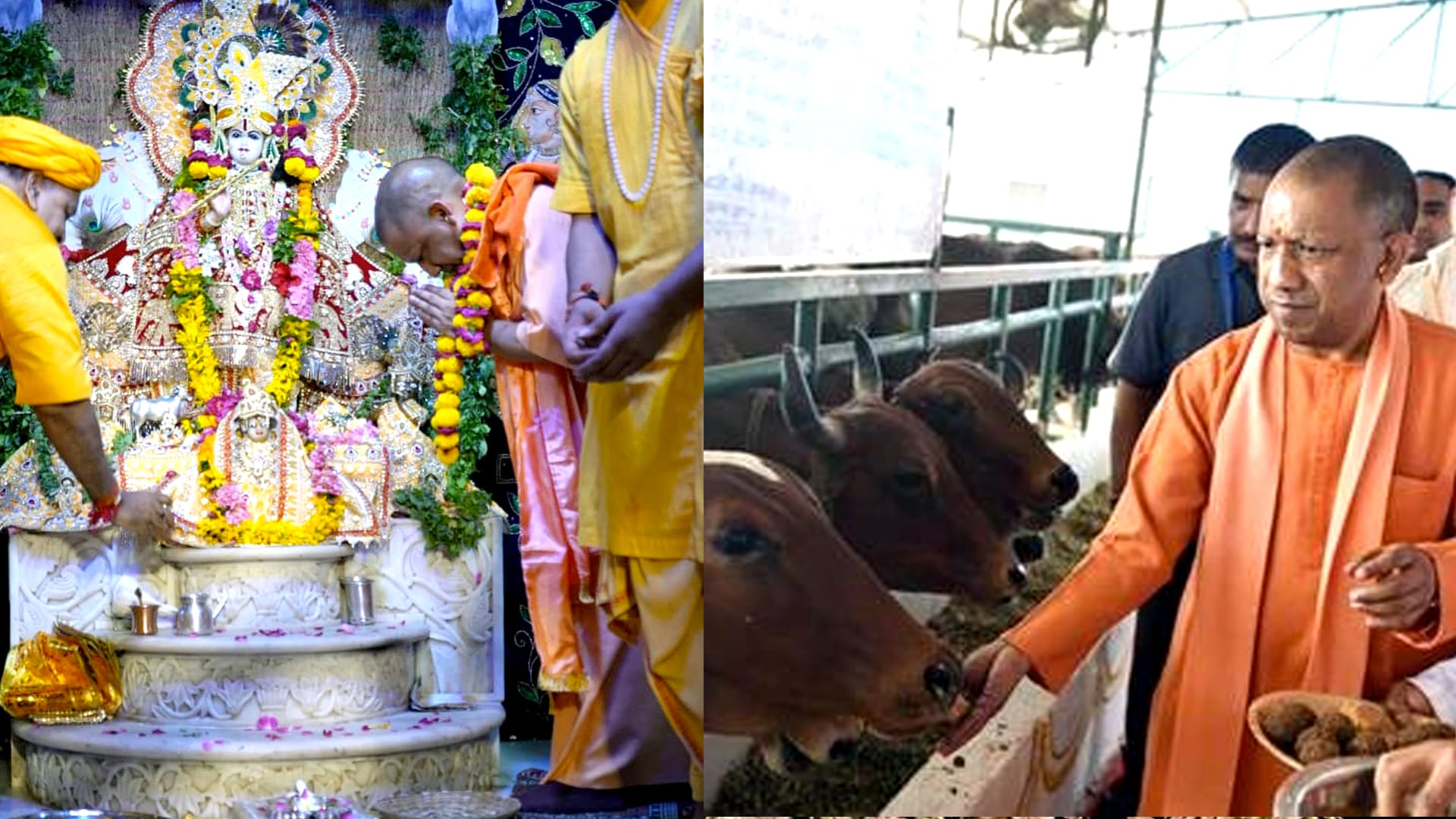 जन्माष्टमी पर योगी का लोकमंगल संदेश, सनातन धर्म के संरक्षण पर दिया जोर