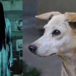 क्या रात में कुत्तों का रोना भूत-प्रेत की मौजूदगी का संकेत है? जानिए इसके पीछे की असली सच्चाई!