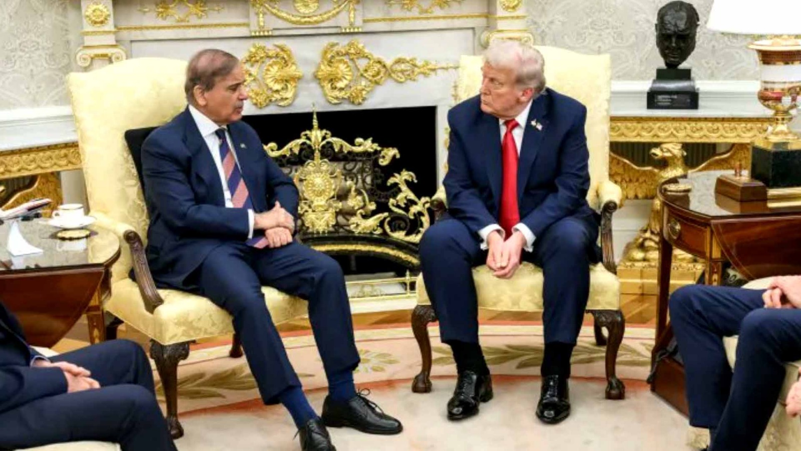 pakistan rare earth minerals deal with us trump visit analysis