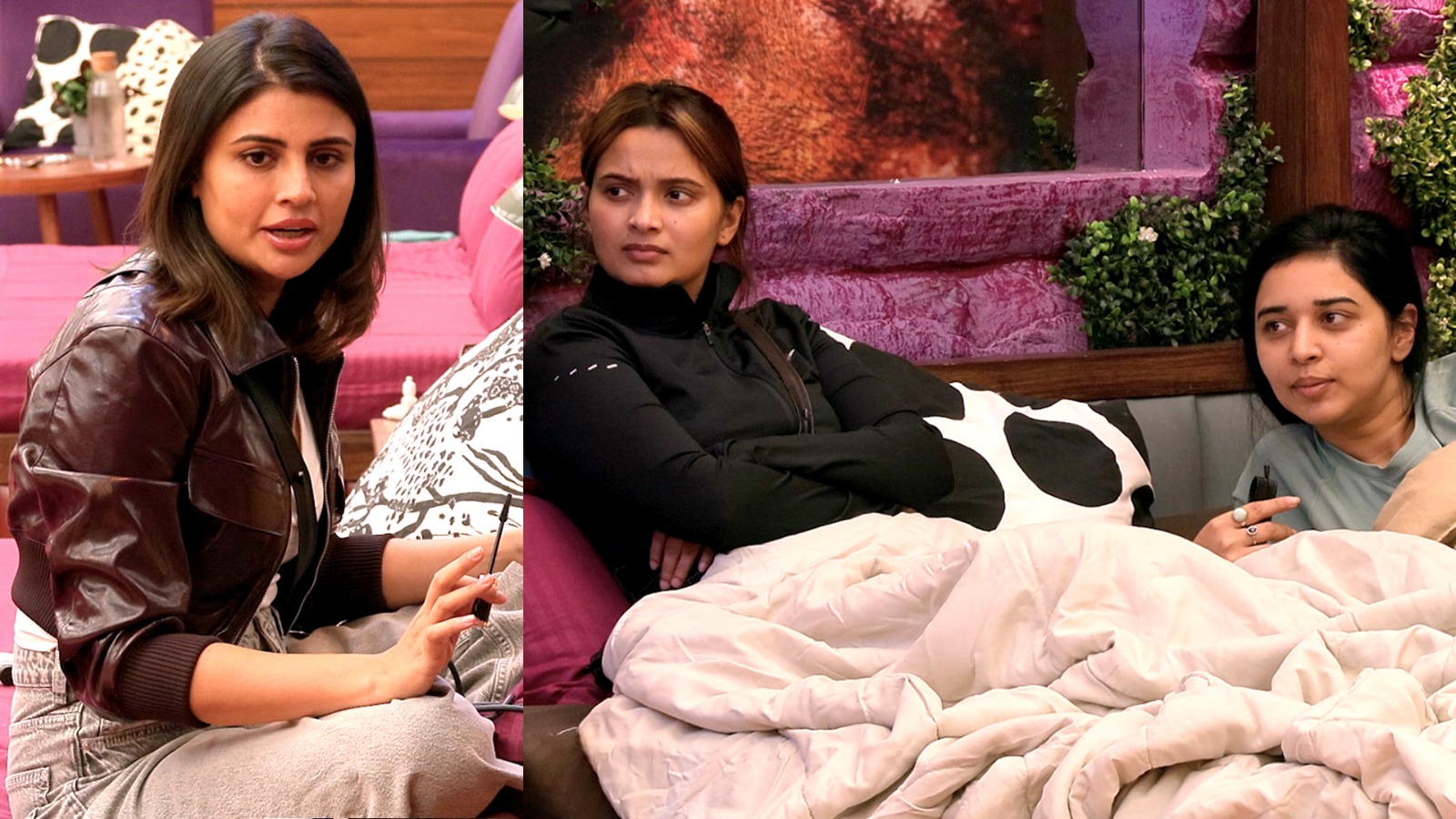 Bigg Boss 19: मालती चहर की एंट्री से तान्या और नीलम के बीच बढ़ी टेंशन, बोलीं- वो हमें हटाकर ग्रुप में घुसना चाहती है