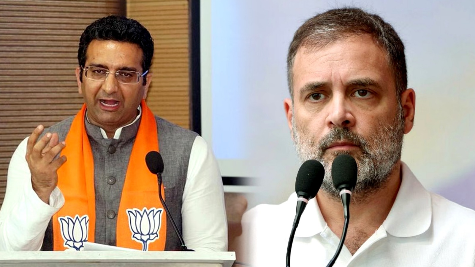 CJI गवई के ‘बुलडोजर’ बयान पर BJP का समर्थन, राहुल गांधी को घेरा
