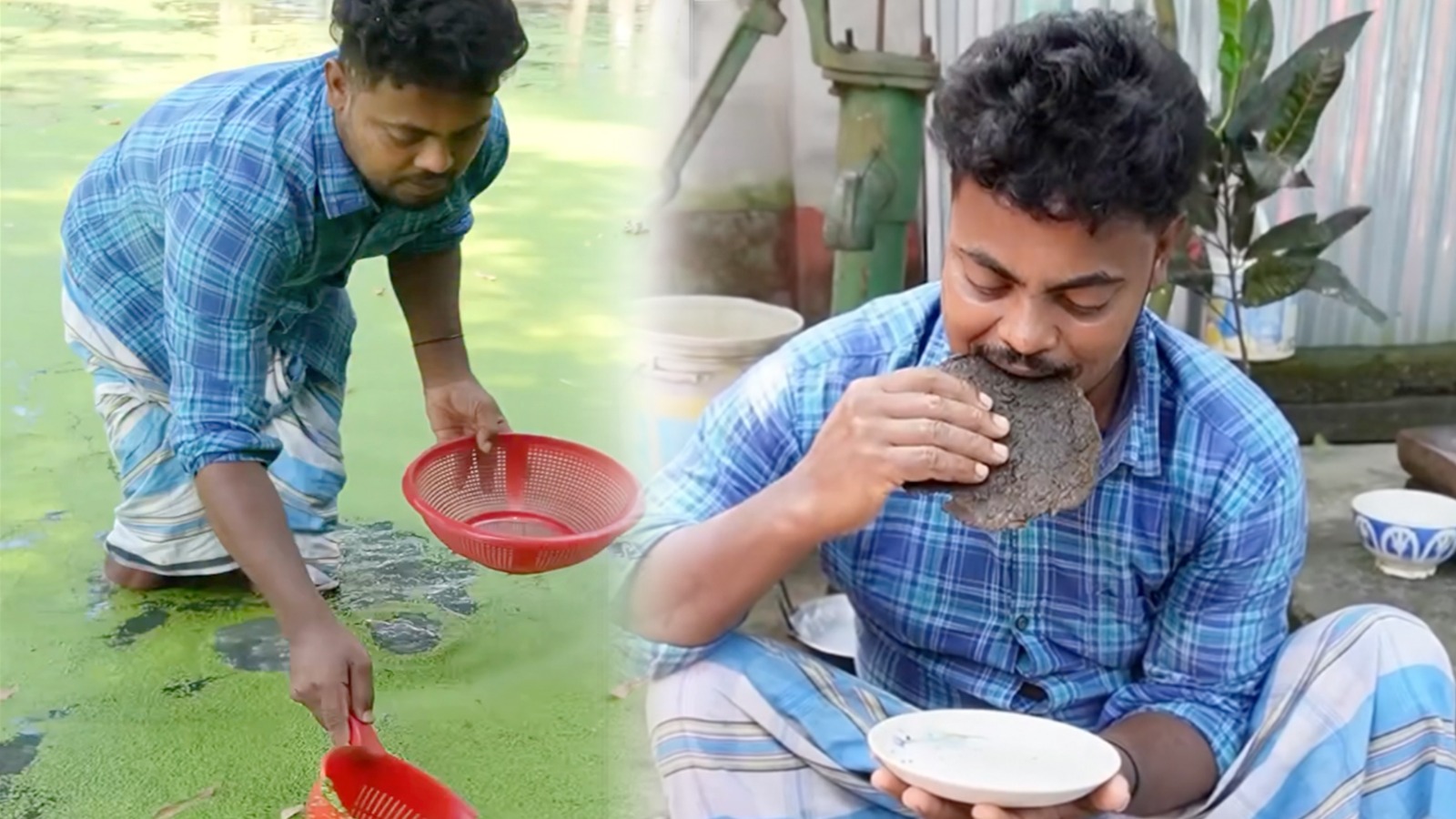 village superfood experiment viral