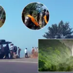 Breaking: महाराष्ट्र के ताम्हिनी घाट में दर्दनाक हादसा: 400 फुट खाई में SUV गिरने से छह युवकों की मौत