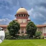अब स्कूल अस्पताल और रेलवे स्टेशन से आवारा कुत्तों को हटाना होगा सुप्रीम कोर्ट का आदेश