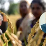 India Bangladesh Rice Deal: भारत के खिलाफ जहर उगलता है बांग्लादेश, लेकिन पेट भरने के लिए खरीदेगा इंडियन राईस
