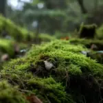 अब काई से सुलझेगी अपराध की गुत्थी, पढ़ें एक्सक्लूसिव रिपोर्ट