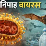 पश्चिम बंगाल में निपाह वायरस की एंट्री, जानें क्या है इसके लक्षण और कैसे रहें सुरक्षित