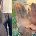 खेत में मिला ‘इंसानी हाथ’, खरीदारों ने लगाई 1 लाख से ज्यादा की बोली, मालिक ने बेचने से किया इनकार