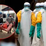 Hantavirus के बीच Ebola वायरस ने भी बढ़ाई दहशत! संक्रमण से 80 लोगों की मौत, ग्लोबल हेल्थ इमरजेंसी घोषित