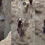 तपती गर्मी में दर्दनाक संघर्ष, प्यास बुझाने के लिए जान जोखिम में डालती दिखी छोटी बच्चियां, वीडियो सोशल मीडिया पर वायरल