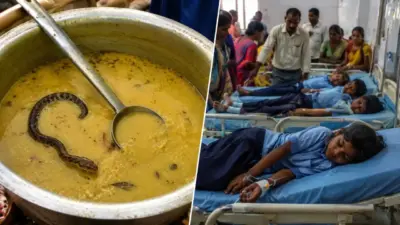 बिहार के मिड-डे मिल से निकला सांप, खाना खाते ही 250 से ज्यादा बच्चे हुए बीमार; अस्पताल में भर्ती