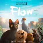 Flow 20250429120144 5538