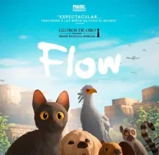 Flow 20250429120144 5538