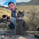 weird news in hindi - Owl's Viral Interview: Turkish Bird Lover Appears to Get Owl to "Talk" on Mike