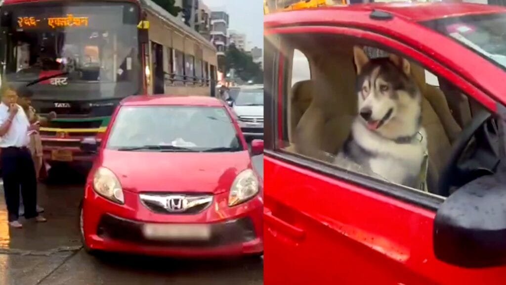 car with dog on drivers seat causes traffic jam in mumbais lokhandwala
