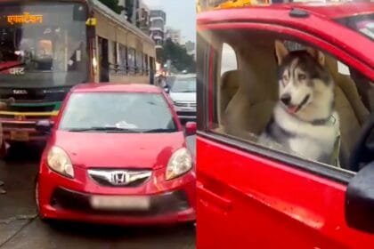car with dog on drivers seat causes traffic jam in mumbais lokhandwala