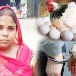 in dispute over egg hen murdered woman says she used to sleep beside me case filed against three family members including brother in law