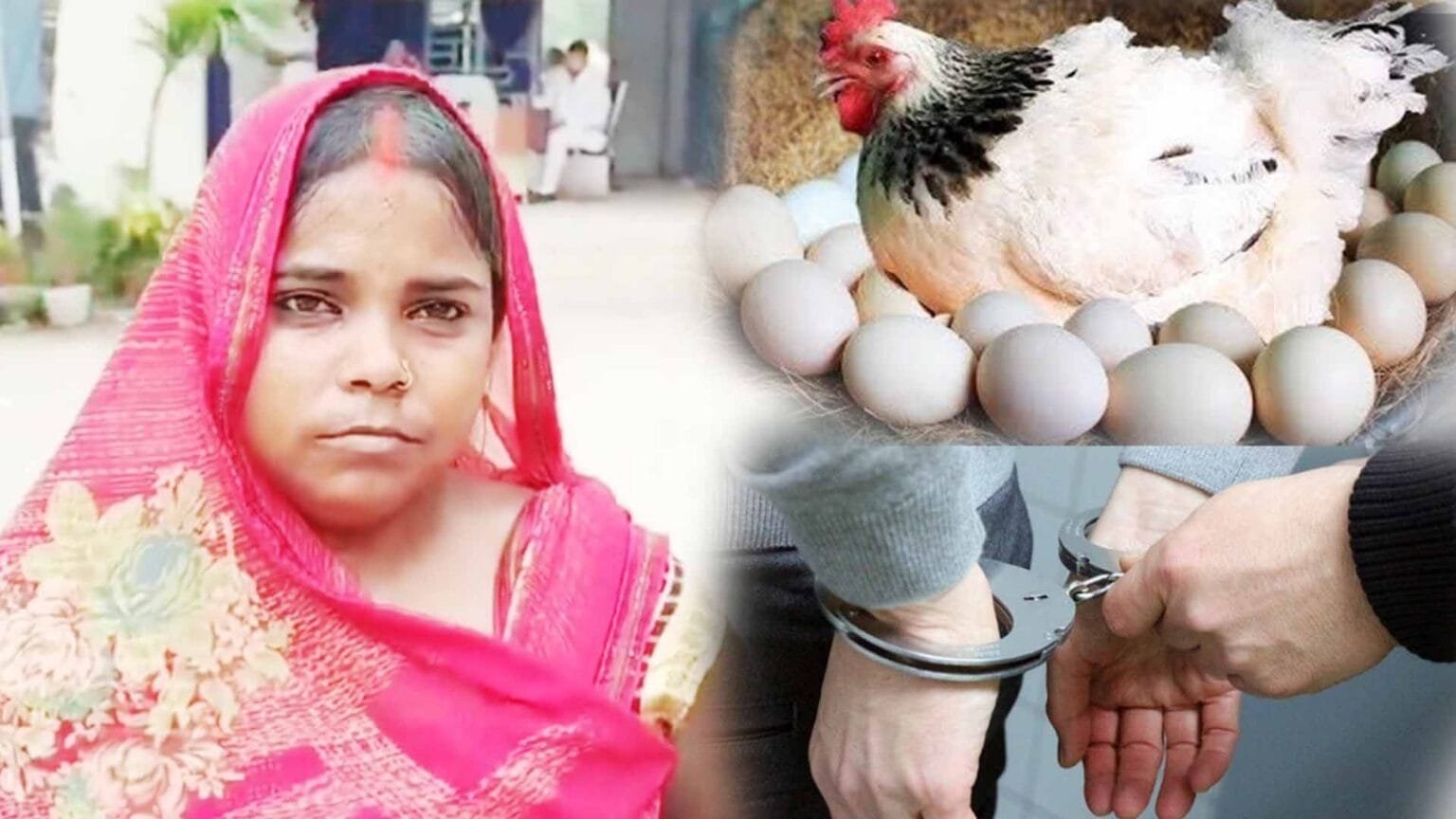 in dispute over egg hen murdered woman says she used to sleep beside me case filed against three family members including brother in law