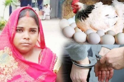 in dispute over egg hen murdered woman says she used to sleep beside me case filed against three family members including brother in law