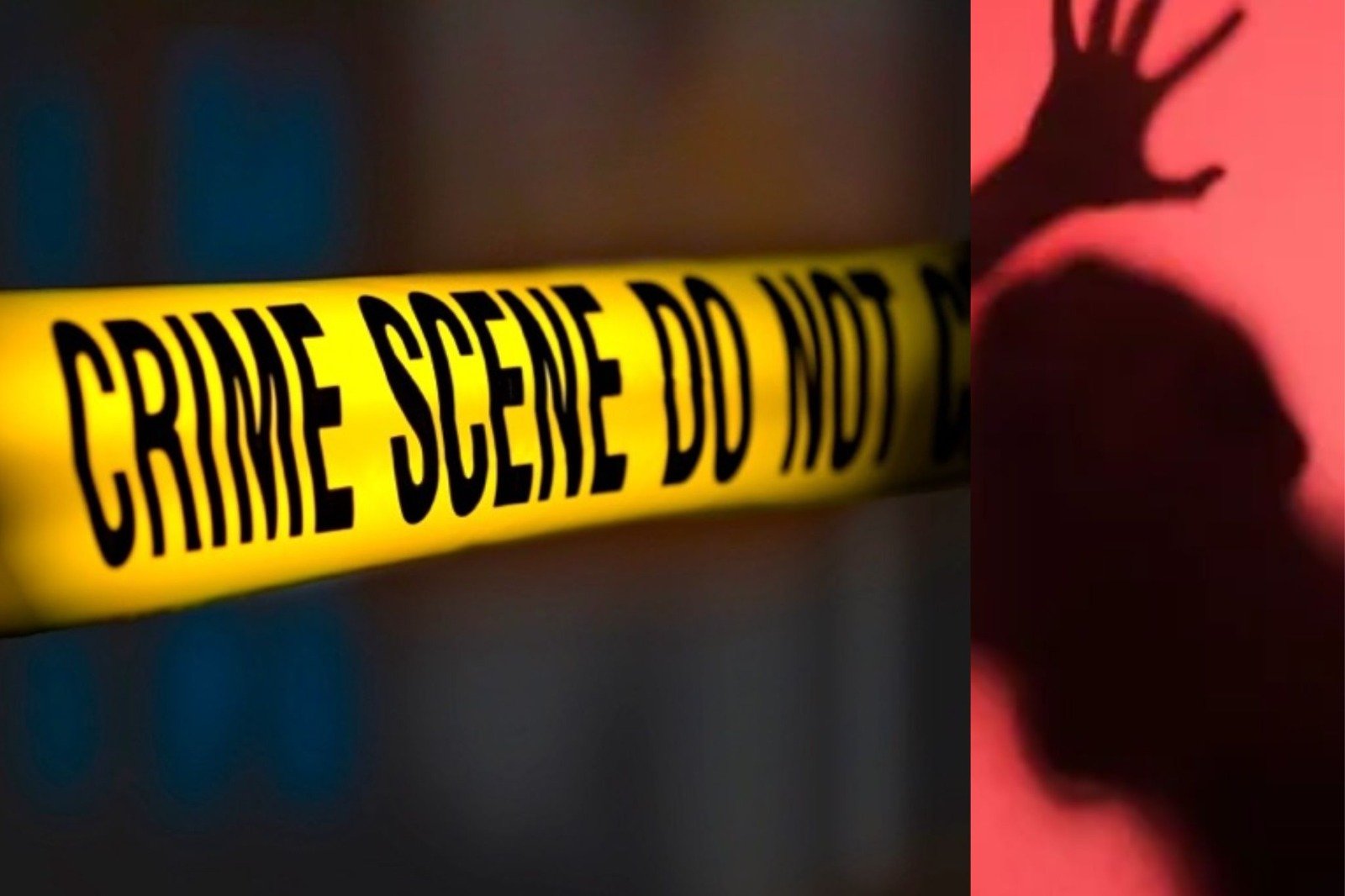 an incident that shames humanity an 80 year old woman was raped by a young man