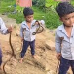 httpspntv.inuncategorizedthe height of carelessness a video of a child catching a snake with an iron rod and then pressing its mouth goes viral2844922082025