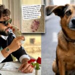 rahul dog