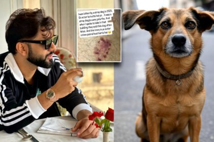 rahul dog