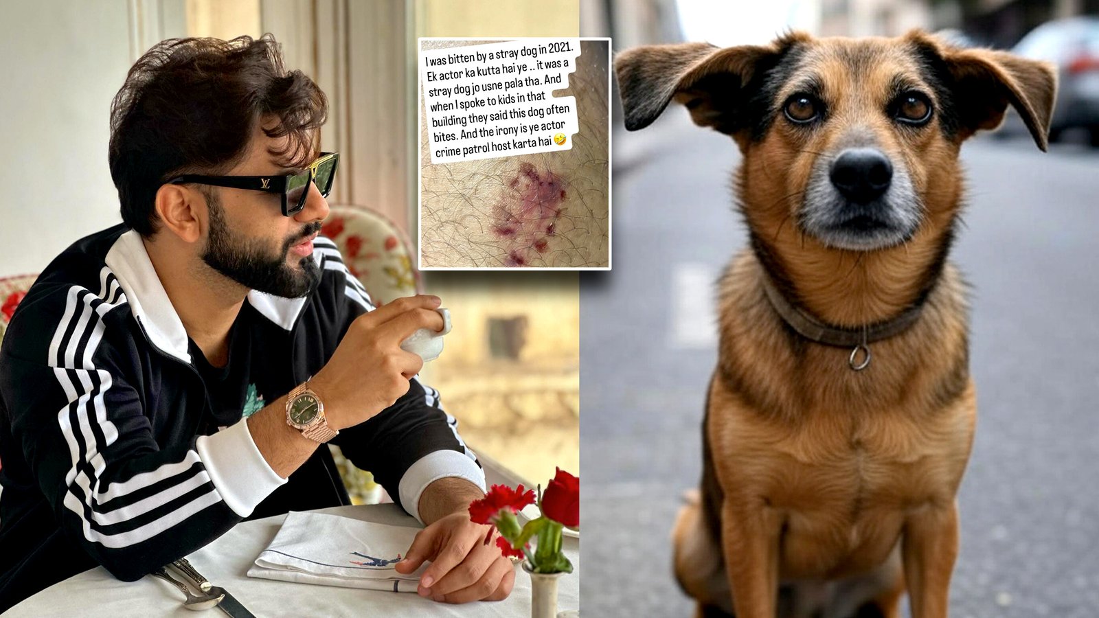 rahul dog