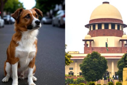 supreme court dog