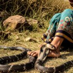 Snake Bites Women In UP Viral News UP News Viral News From Barabanki