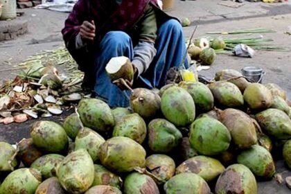 beware of roadside coconut water risk of infection 2