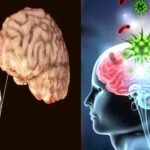 brain eating infection wreaks havoc in kerala 76 infected 18 dead