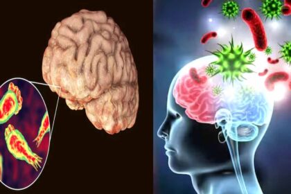 brain eating infection wreaks havoc in kerala 76 infected 18 dead