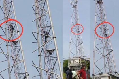 jaunpur teen climbs tower in rage over mobile denial