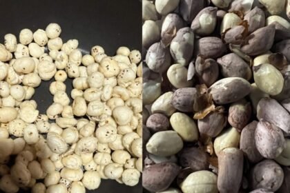 makhana vs peanuts the healthier snack choice for weight loss