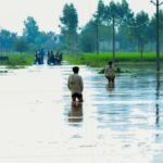 punjab reels under flood fury 1300 villages submerged satluj beas ravi rivers wreak havoc