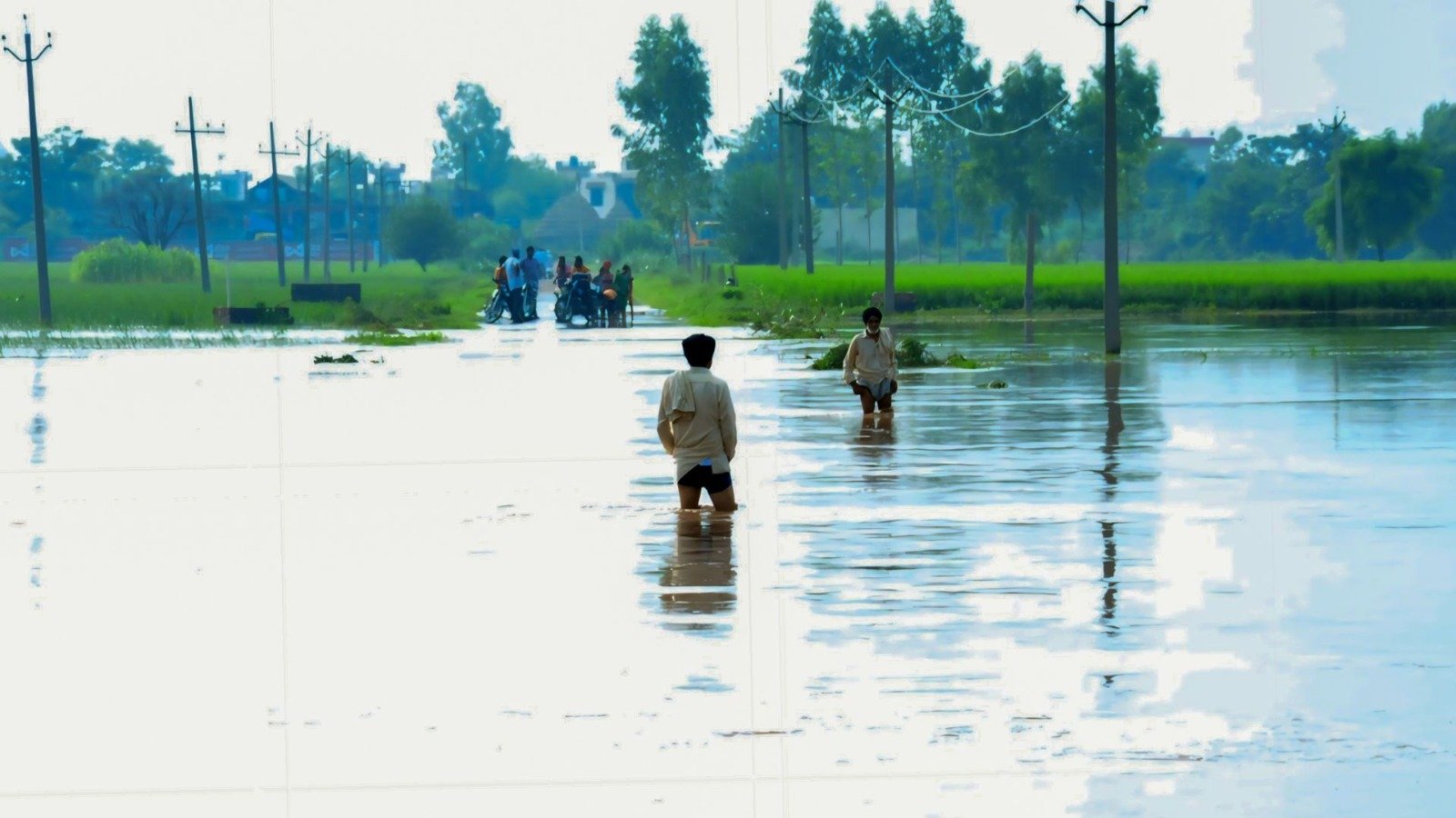 punjab reels under flood fury 1300 villages submerged satluj beas ravi rivers wreak havoc