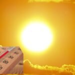 the terrible face of climate change thousands of deaths due to heat in europe scientists explain why the situation is worsening 1