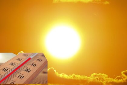 the terrible face of climate change thousands of deaths due to heat in europe scientists explain why the situation is worsening 1