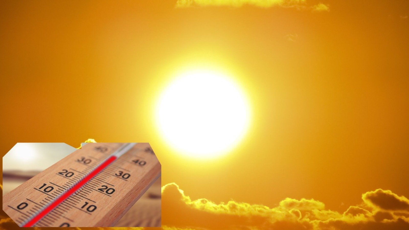 the terrible face of climate change thousands of deaths due to heat in europe scientists explain why the situation is worsening 1