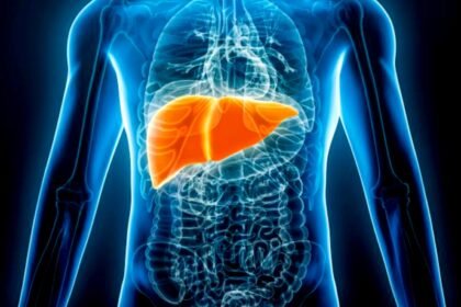 5 daily habits that damage your gut health 6 simple ways to strengthen your intestines