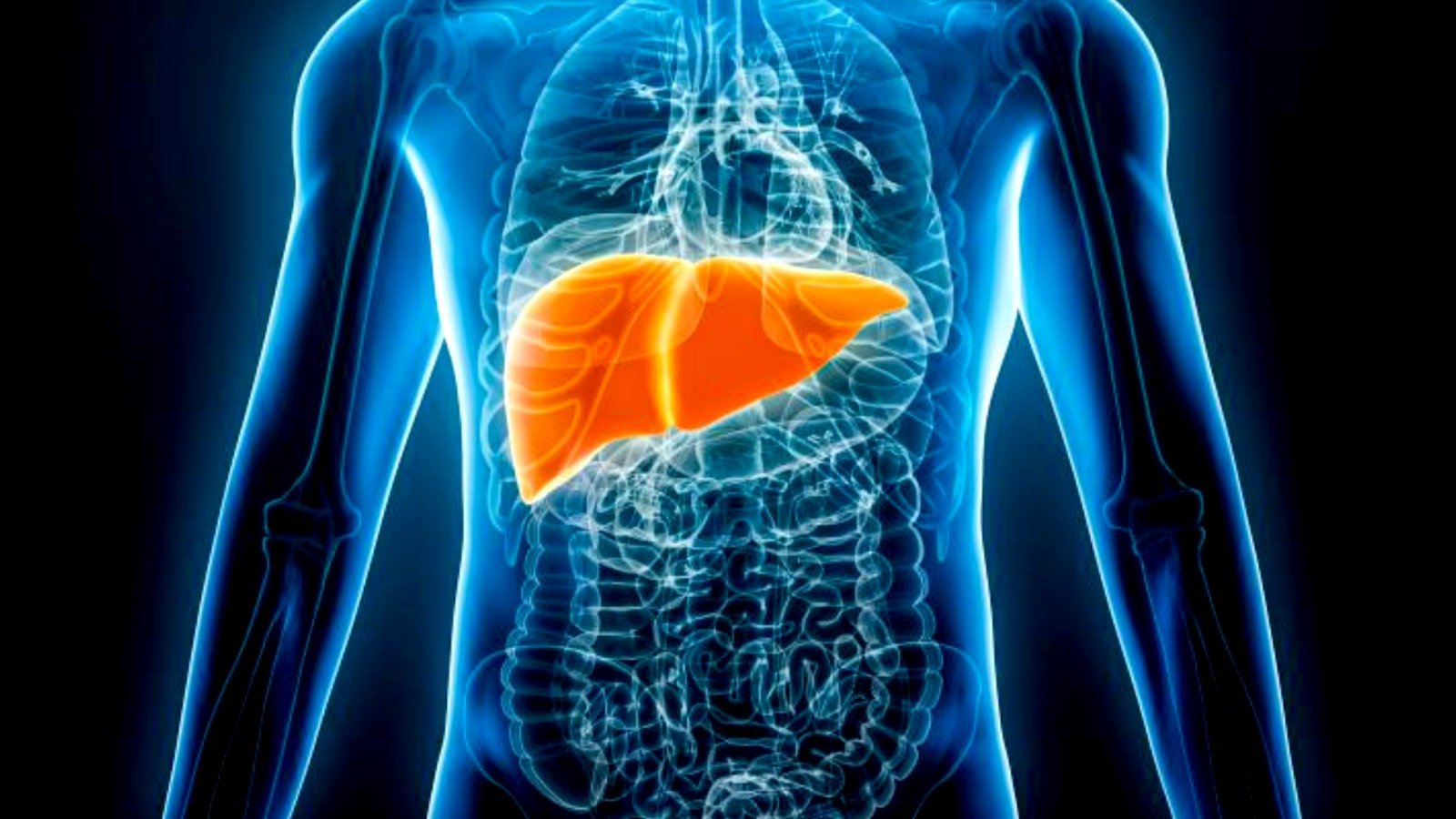5 daily habits that damage your gut health 6 simple ways to strengthen your intestines