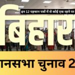 bihar election 2025 no voter id required 12 identity documents accepted