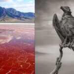 lake that turns humans to stone touch it and turn into a statue
