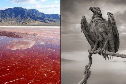 lake that turns humans to stone touch it and turn into a statue