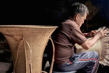 nagaland ka bans hara sona sanskriti