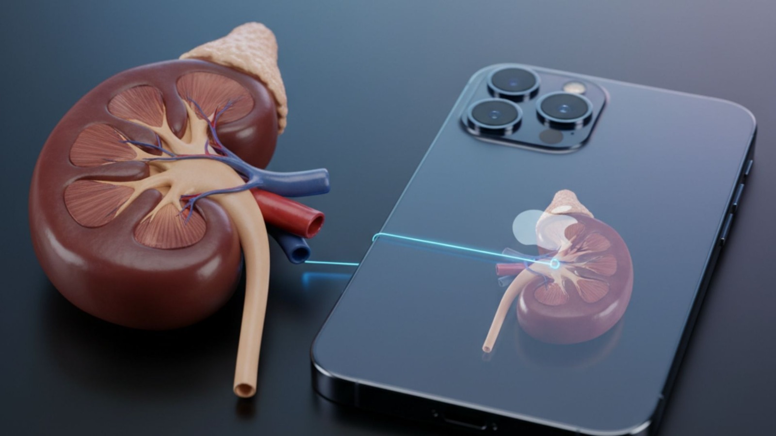 organ selling for iphone government ban 15 years jail