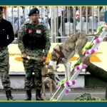 rashtriya ekta divas 2025 bsf indian dog breeds pm modi