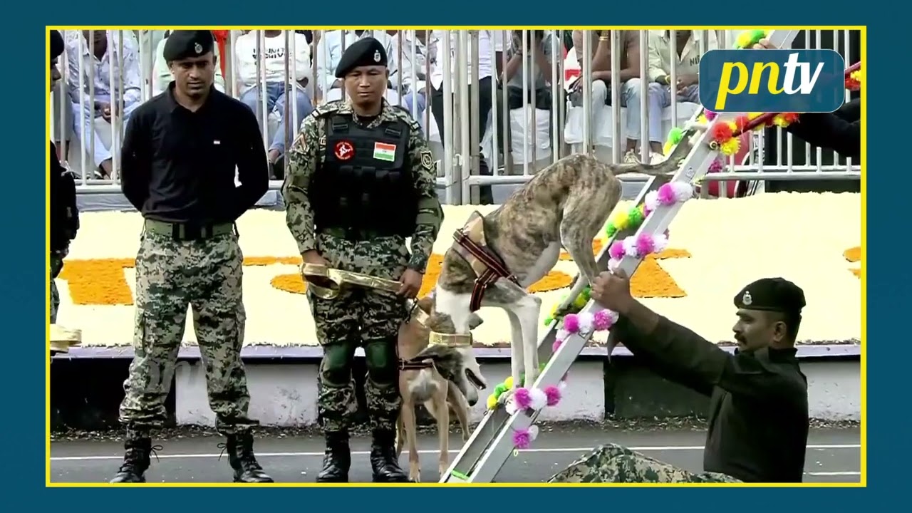 rashtriya ekta divas 2025 bsf indian dog breeds pm modi