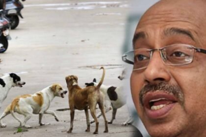 stray dogs attack foreign coaches in delhi bjp questions who is responsible